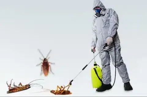 Pest Control in Homes