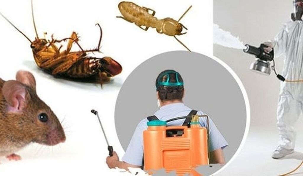 Pest and rodent control services