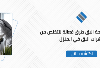 كيفية مكافحة البق طرق فعالة للتخلص من حشرات البق في المنزل