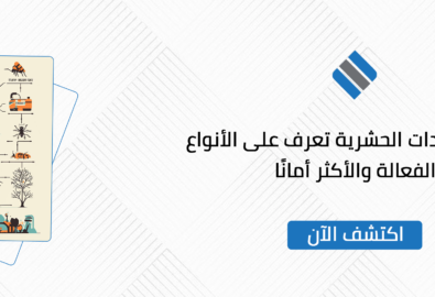 أنواع المبيدات الحشرية تعرف على الأنواع الفعالة والأكثر أمانًا