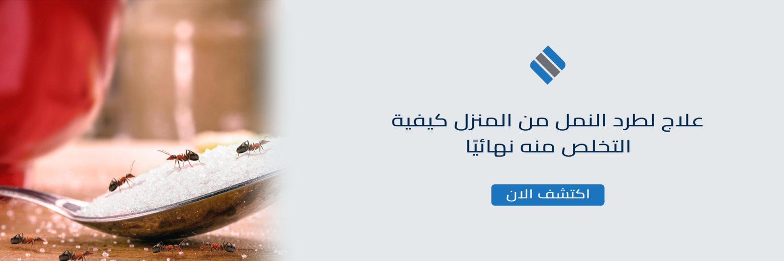 علاج لطرد النمل من المنزل كيفية التخلص منه نهائيًا