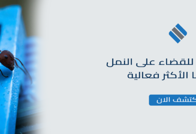 أفضل مبيد للقضاء على النمل اختياراتنا الأكثر فعالية
